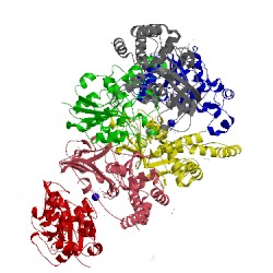 Image of CATH 4ud6