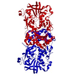 Image of CATH 4udp