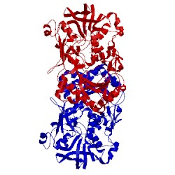 Image of CATH 4udq