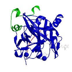 Image of CATH 4udw