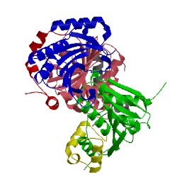 Image of CATH 4ueb