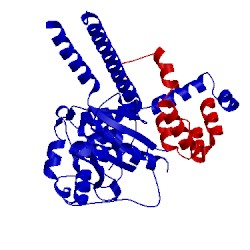 Image of CATH 4uem