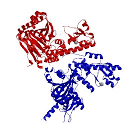 Image of CATH 4uf0