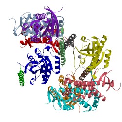 Image of CATH 4uj4