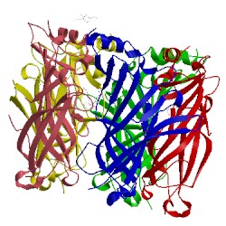 Image of CATH 4um1