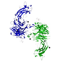 Image of CATH 4um8