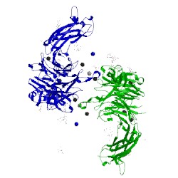 Image of CATH 4um9