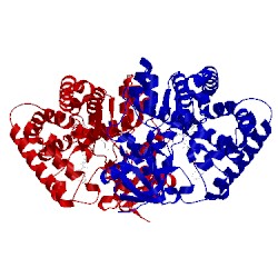 Image of CATH 4umz