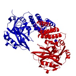 Image of CATH 4und