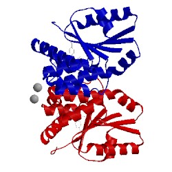 Image of CATH 4unr