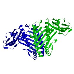 Image of CATH 4uq2