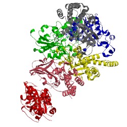 Image of CATH 4urh