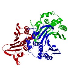 Image of CATH 4urn