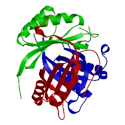 Image of CATH 4ush