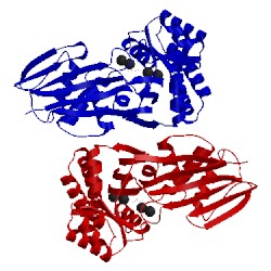 Image of CATH 4usm