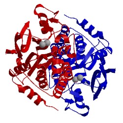 Image of CATH 4ut3