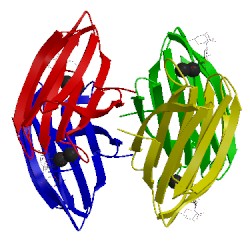 Image of CATH 4ut5