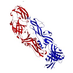 Image of CATH 4uta