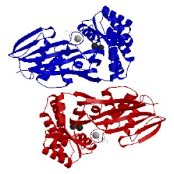 Image of CATH 4utg