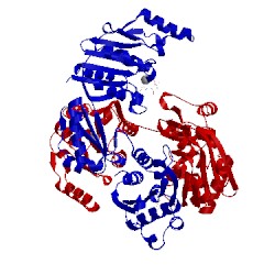 Image of CATH 4uuw