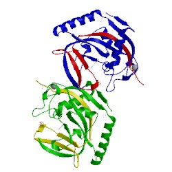 Image of CATH 4uvp
