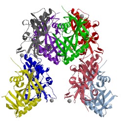 Image of CATH 4uw1