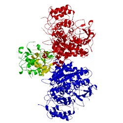 Image of CATH 4uw2