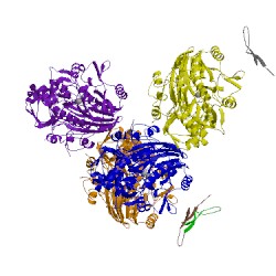 Image of CATH 4uwq
