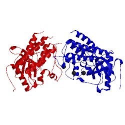 Image of CATH 4uwy