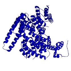 Image of CATH 4uzy