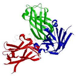 Image of CATH 4v1l