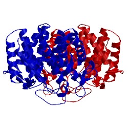 Image of CATH 4v1s