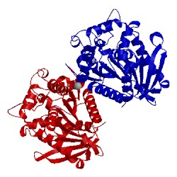 Image of CATH 4v2i