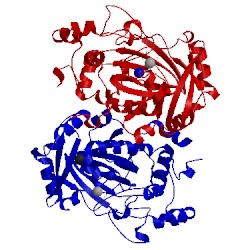 Image of CATH 4v2v