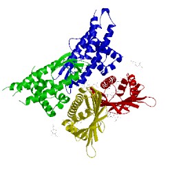 Image of CATH 4v3d