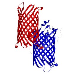 Image of CATH 4v3g