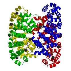 Image of CATH 4v3q
