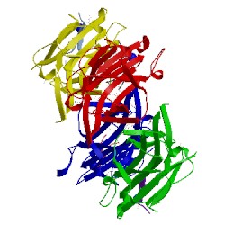 Image of CATH 4w4z