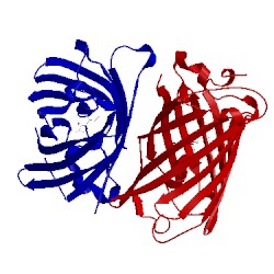 Image of CATH 4w6a