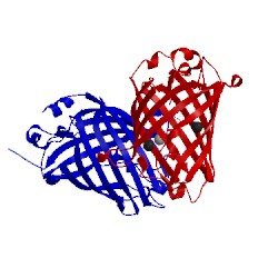 Image of CATH 4w6b