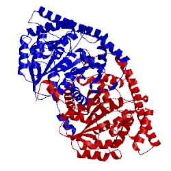 Image of CATH 4wb0