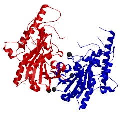Image of CATH 4wbh