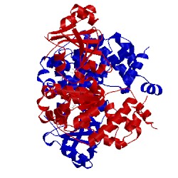 Image of CATH 4wc1