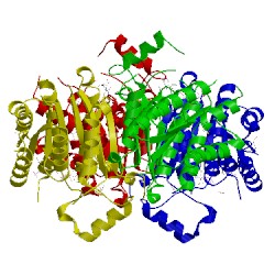 Image of CATH 4wcf