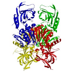 Image of CATH 4we3