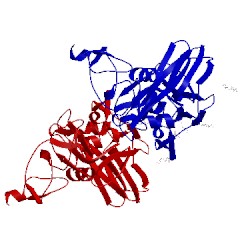 Image of CATH 4we6