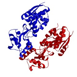 Image of CATH 4wep