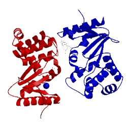 Image of CATH 4wet