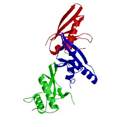 Image of CATH 4wft
