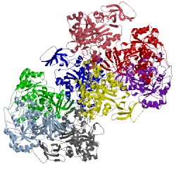 Image of CATH 4whb